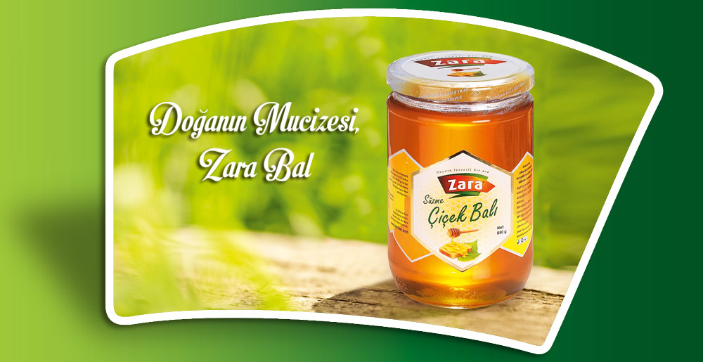 ZARA BAL
